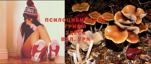 синтетический гашиш Алексин