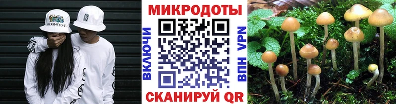 мега ссылка  Котово  Псилоцибиновые грибы MAGIC MUSHROOMS 